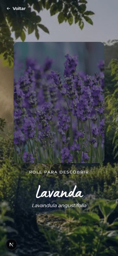Hero da ficha da lavanda no Dose Natural, com a foto real da flor em tela cheia